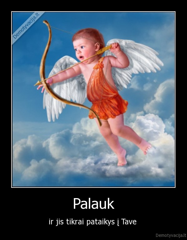 Palauk