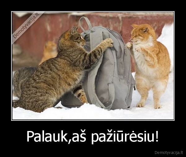 Palauk,aš pažiūrėsiu!