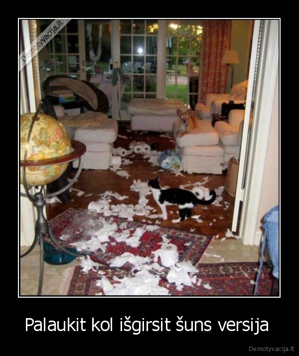 vieni, namuose