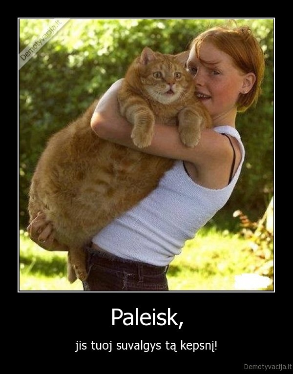 Paleisk,