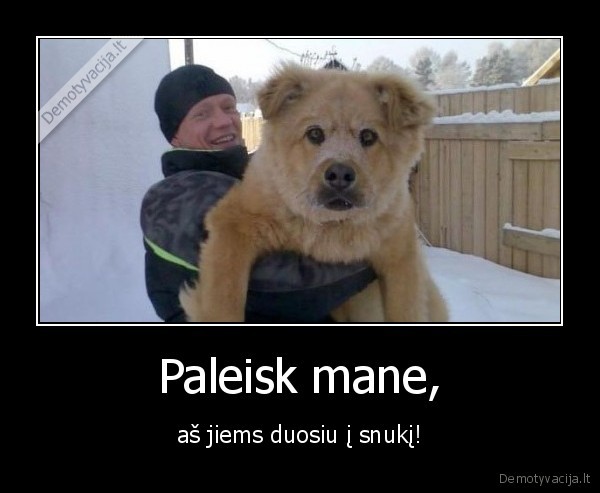 suo,snukis