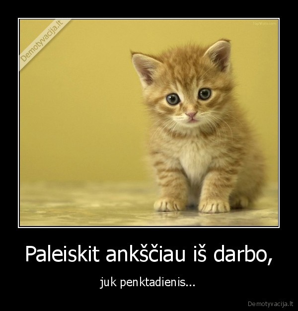 penktadienis,gerai,tusai