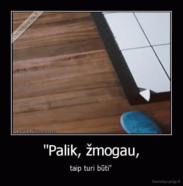kate,katinas,tvarka,plytele