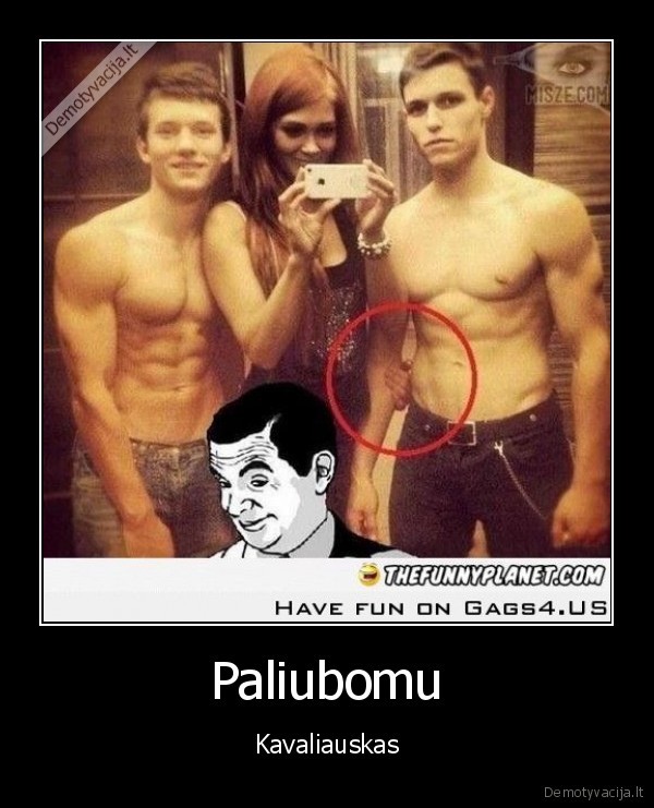 gayfagas, trolis