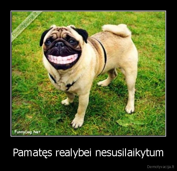 Pamatęs realybei nesusilaikytum