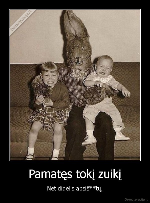 zuikis,nuotrauka,baisu