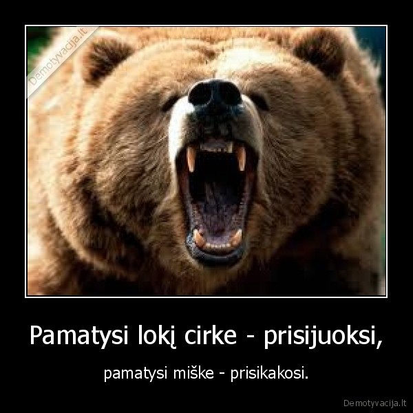 lokys,cirkas