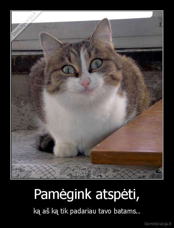 Pamėgink atspėti,