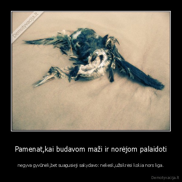 mes,gyvunai,ligos, 