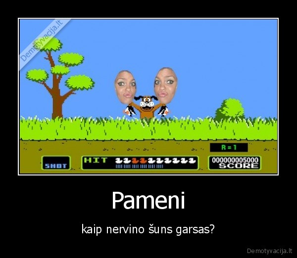 zaidimai,suo,garsas,antys