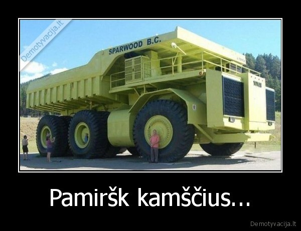 kamsciai