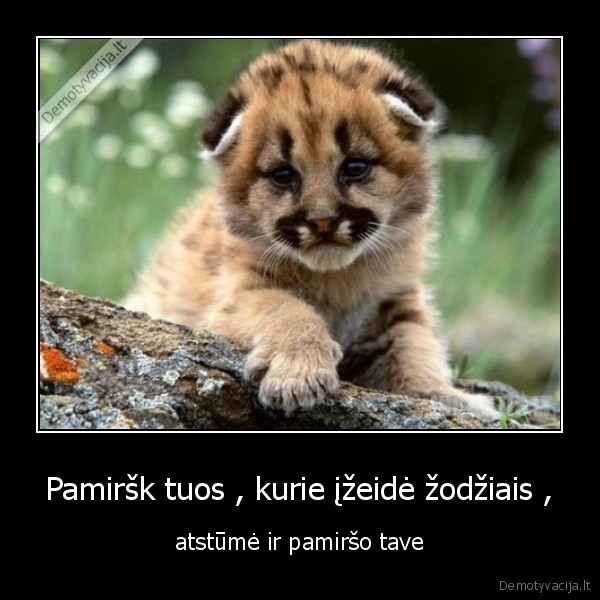 Pamiršk tuos , kurie įžeidė žodžiais ,