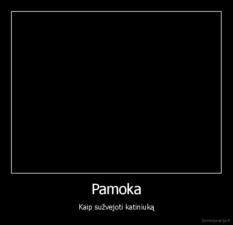 kaciukas,zaidzia