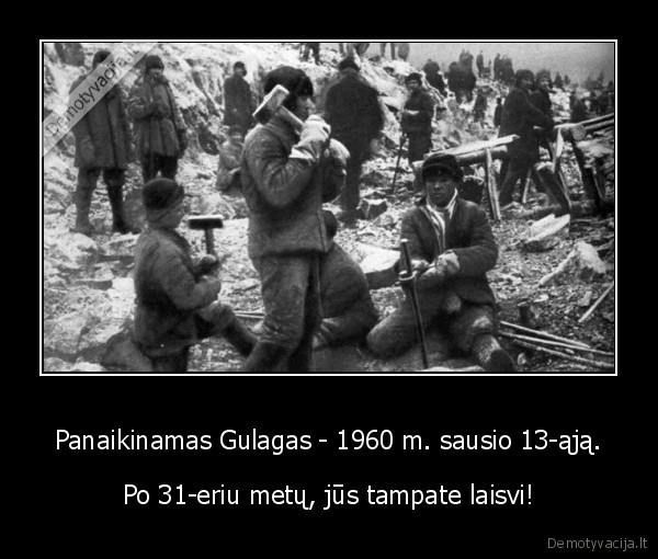 zinios,lietuva