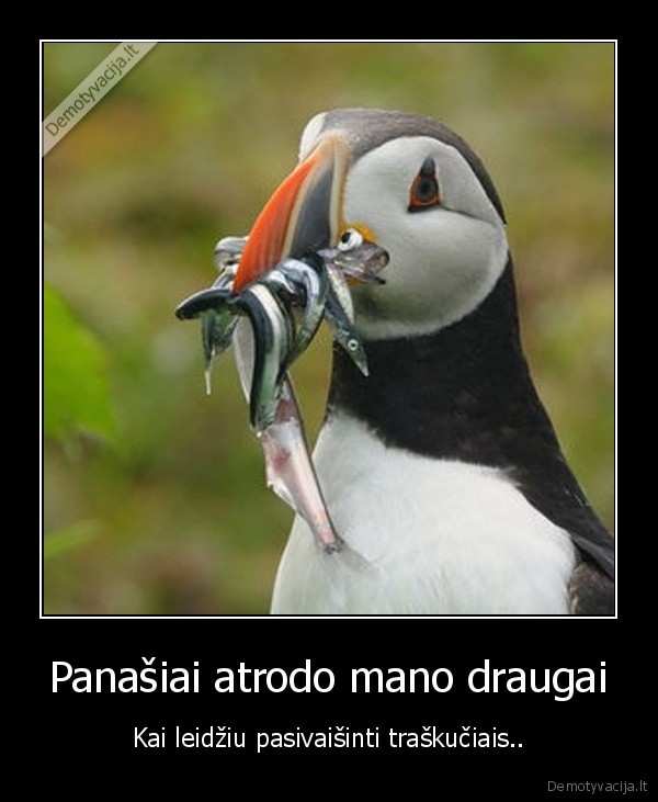 Panašiai atrodo mano draugai