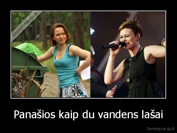 seses