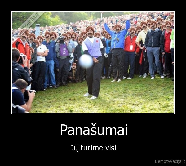 Panašumai