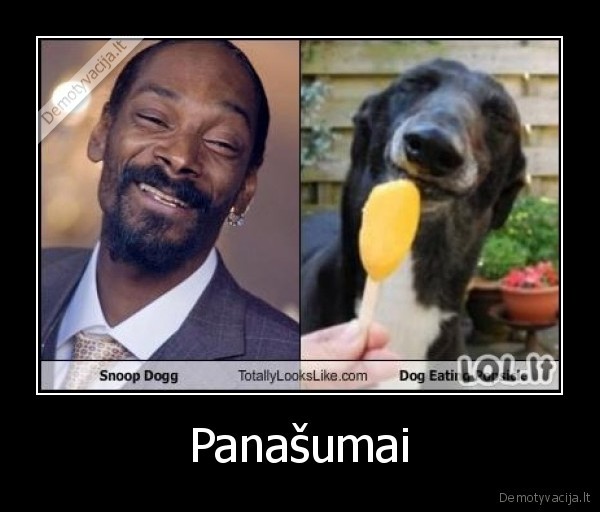 Panašumai