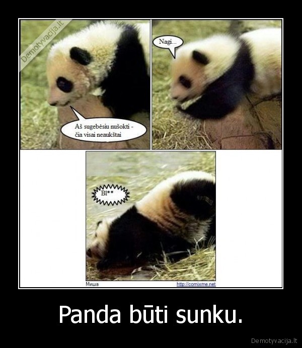 Panda būti sunku.