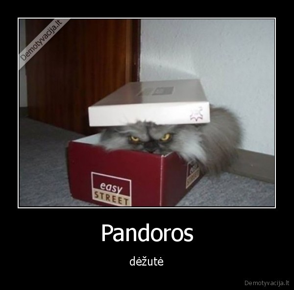 Pandoros
