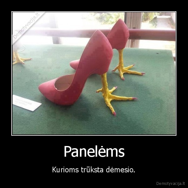 bateliai,vista,panelems,kulnai
