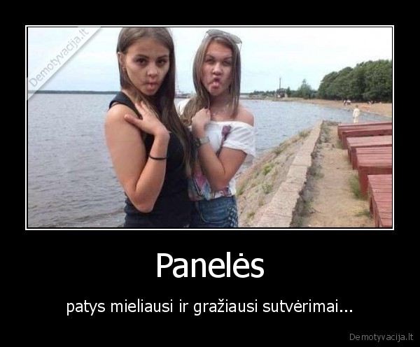 paneles,nuotraukos,veidas,kreivas