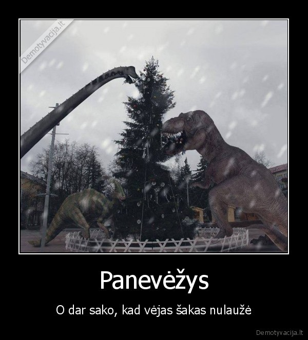 Panevėžys