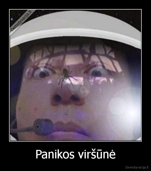 voras, nukris, ir, bus, sakes