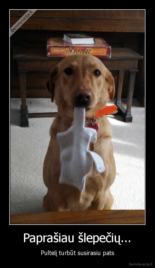 Paprašiau šlepečių...