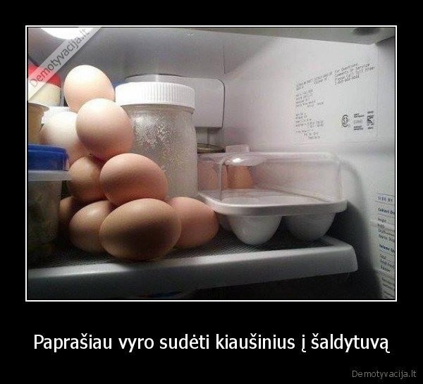saldytuvas,kiausiniai, saldytuve,vyro, logika