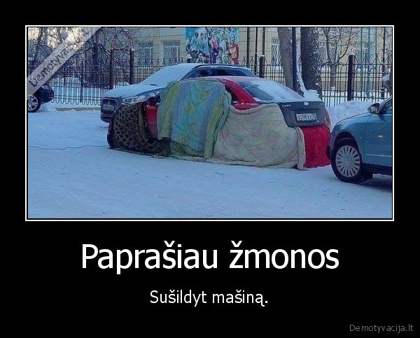 masina,zmona,sildyti