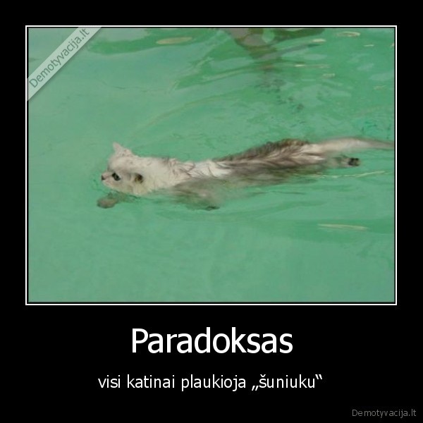 Paradoksas