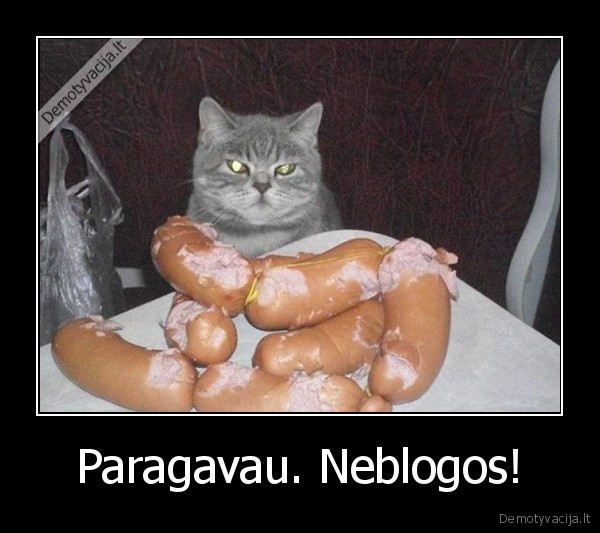 naglas, katinas,desreliu, valgymas,maistas
