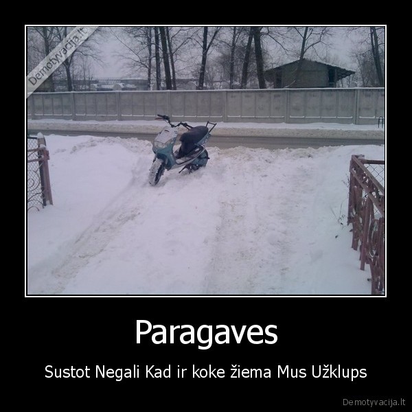 Paragaves