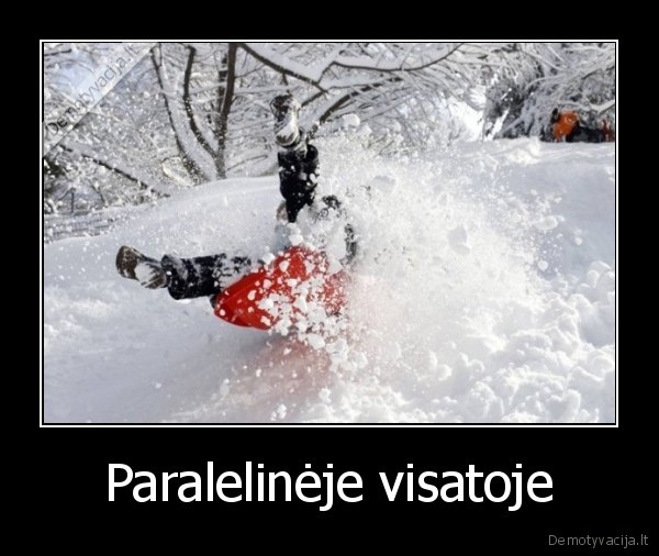 Paralelinėje visatoje