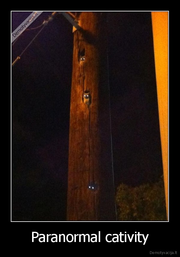Paranormal cativity