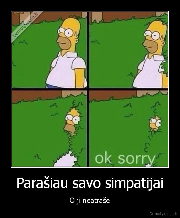 houmeris, simpsonas,simpatija,sms