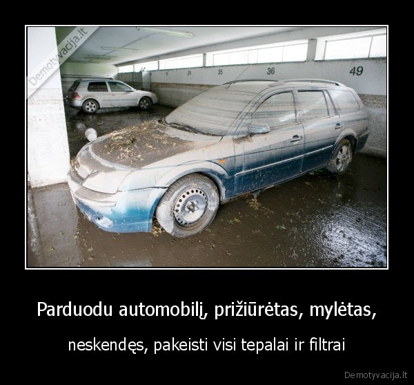 kaunas,automobiliai