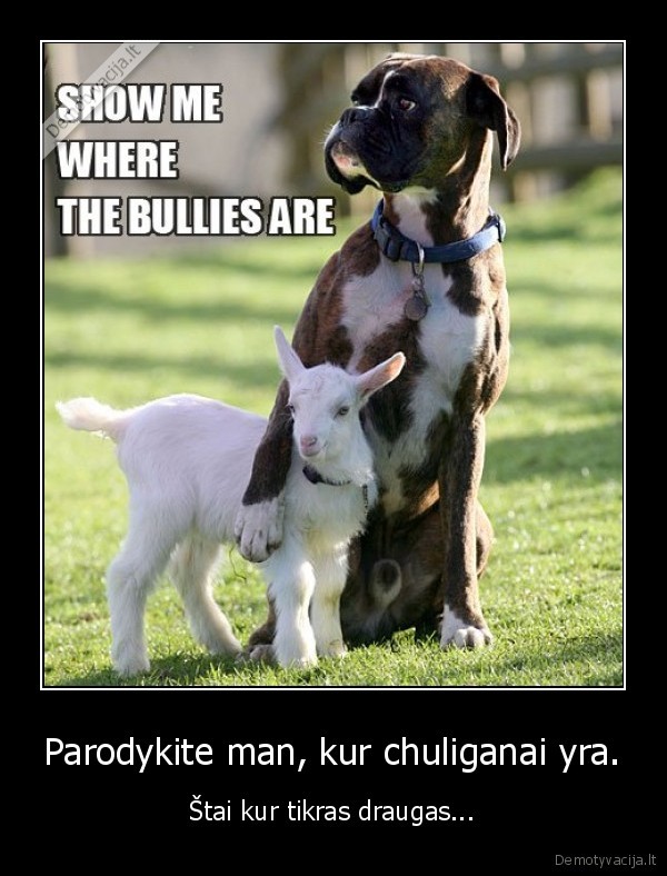 Parodykite man, kur chuliganai yra.