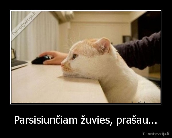 Parsisiunčiam žuvies, prašau...