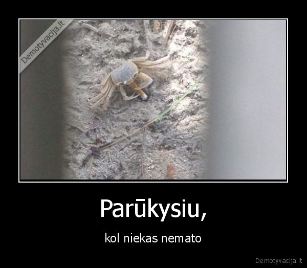 rukyti