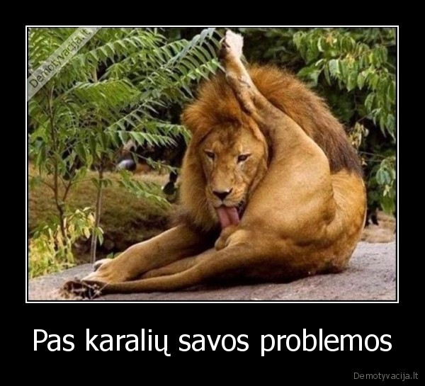 Pas karalių savos problemos
