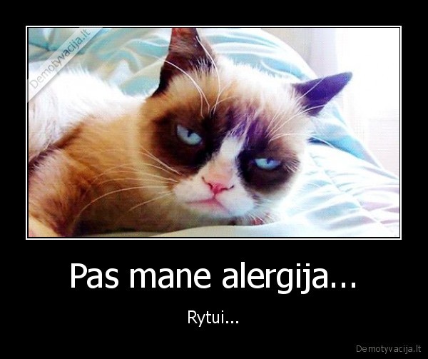 rytas