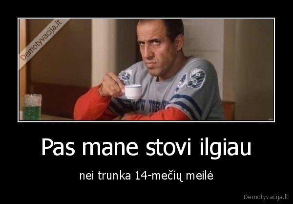 meile,seile
