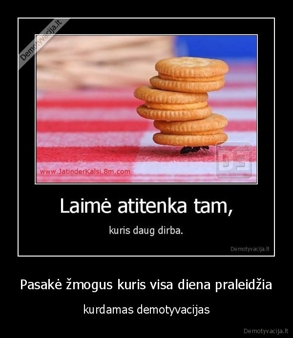 Pasakė žmogus kuris visa diena praleidžia