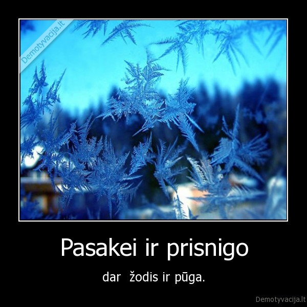 Pasakei ir prisnigo