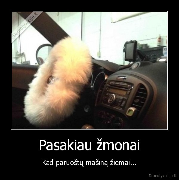 zmona,masina,ziema