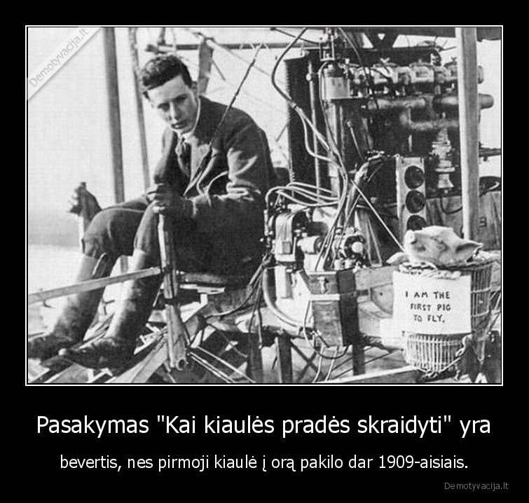 skraidanti, kiaule
