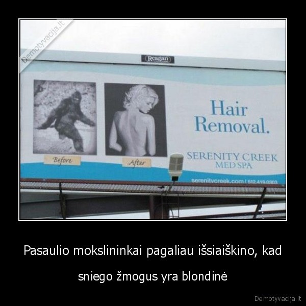 fun, sniego, zmogus, durna, blonde
