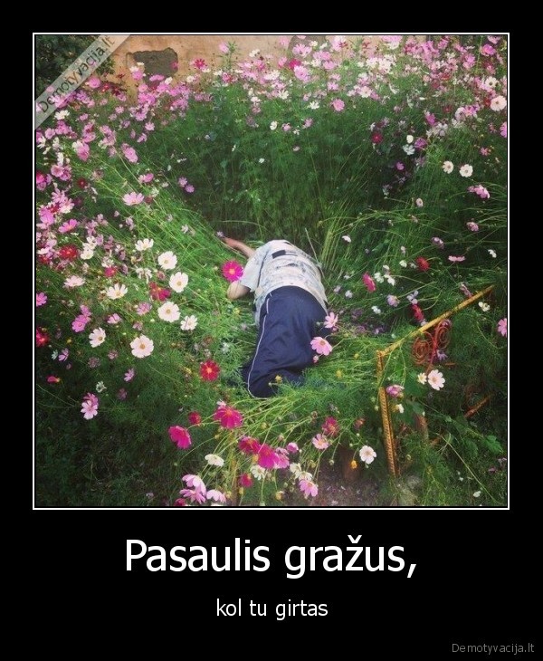 girtas,pasaulis,grazus